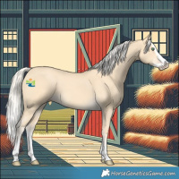 Horse Color:Gold Cream Champagne Splash