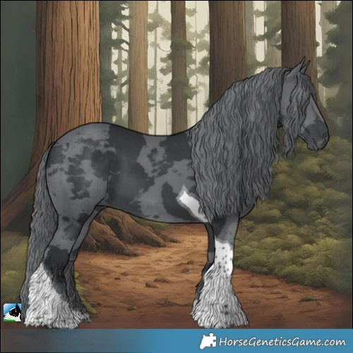 Horse Color:Black Chinchilla Merle Tobiano 