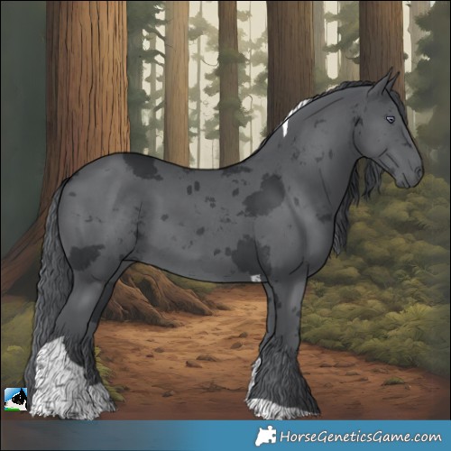 Horse Color:Black Chinchilla Merle Tobiano