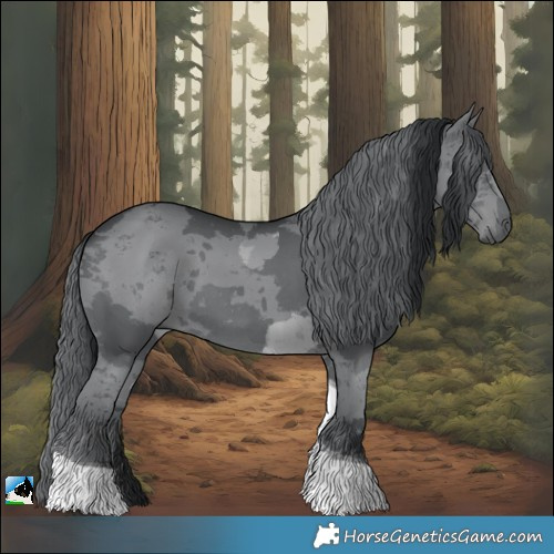 Horse Color:Black Chinchilla Merle Tobiano