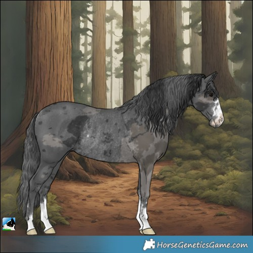 Horse Color:Black Merle Rabicano 
