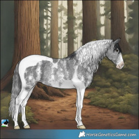 Horse Color:Black Sabino Tobiano Rabicano 