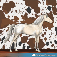 Horse Color:White Spotted Gold Cream Champagne Dun Blanket 
