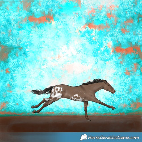 Horse Color:Liver Red Dun Skewed LP Spotted