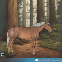 Horse Color:Chestnut Mushroom Rabicano 