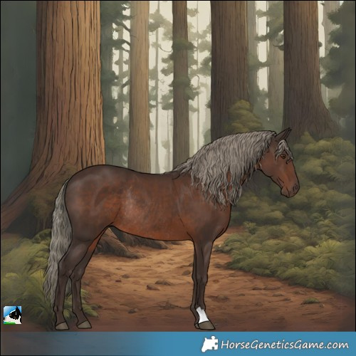 Horse Color:Liver Chestnut Mushroom Rabicano
