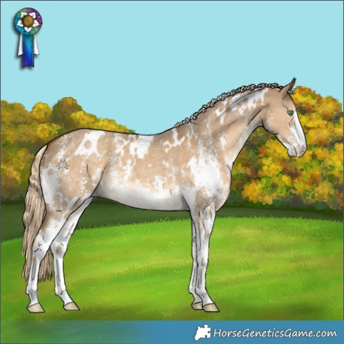 Horse Color:White Spotted Chocolate Palomino Dun Sabino