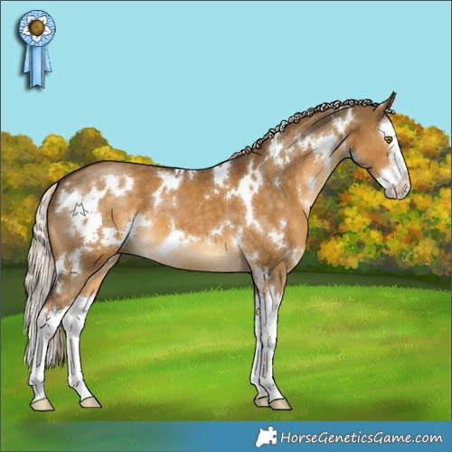 Horse Color:White Spotted Chocolate Palomino Dun Splash