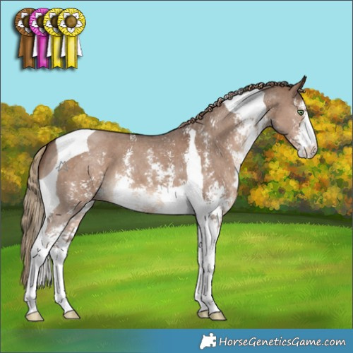 Horse Color:Liver Red Dun Sabino Tobiano