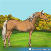 Horse Color:Palomino 