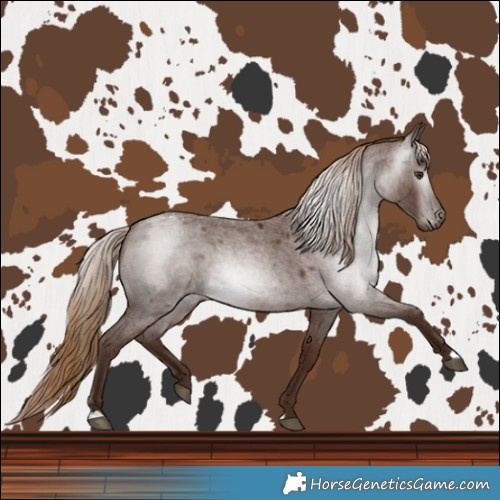 Horse Color:Gray Red Roan Varnish