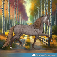Horse Color:Gray Red Roan Varnish 