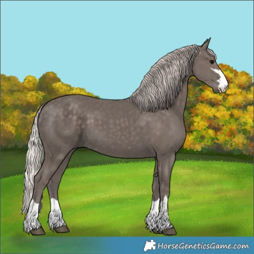 Horse Color:Silver Black