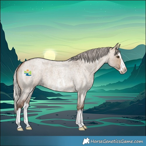 Horse Color:Silver Bay Roan Dun Sabino Splash