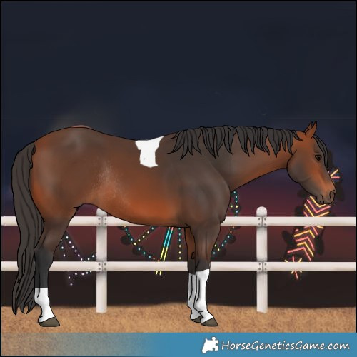 Horse Color:Bay Tobiano Rabicano