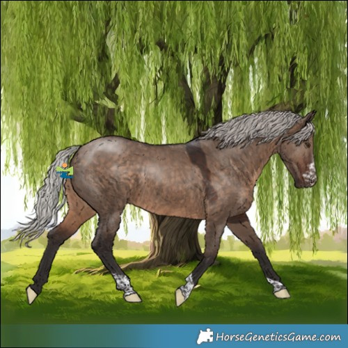 Horse Color:Silver Brown Dun Sabino Tobiano
