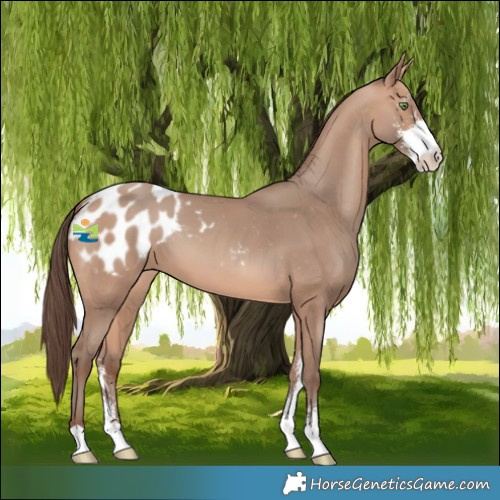Horse Color:Amber Champagne Sabino Blanket 
