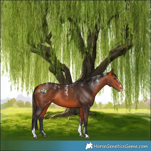 Horse Color:Powder White Bay Varnish
