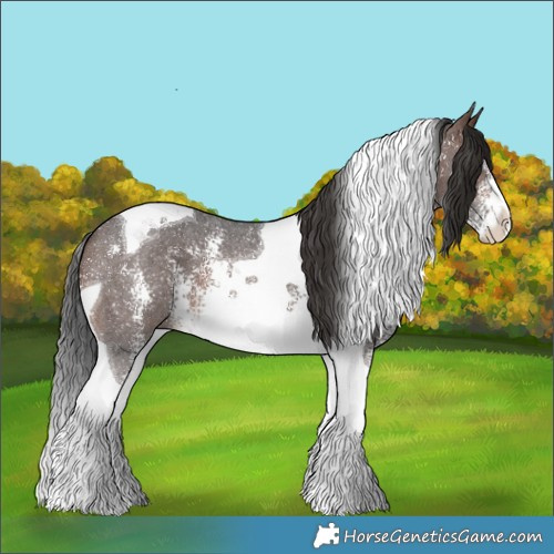Horse Color:Brown Sabino Tobiano 