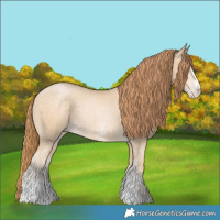 Horse Color:Brown Snowdrop Pearl Sabino 