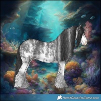 Horse Color:Black Sabino 
