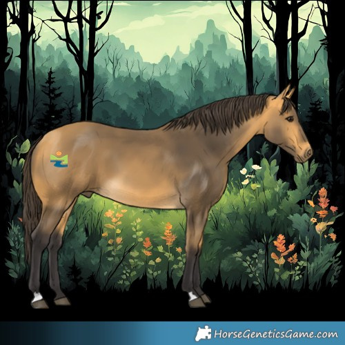Horse Color:Buckskin