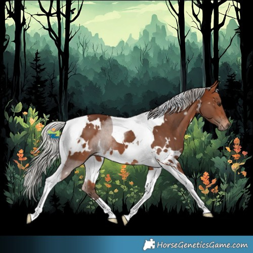 Horse Color:White Spotted Silver Bay Tobiano