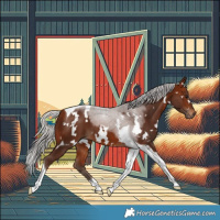 Horse Color:White Spotted Silver Bay Tobiano