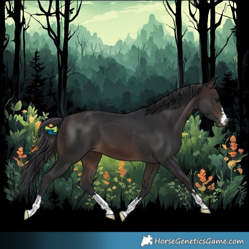 Horse Color:Brown 