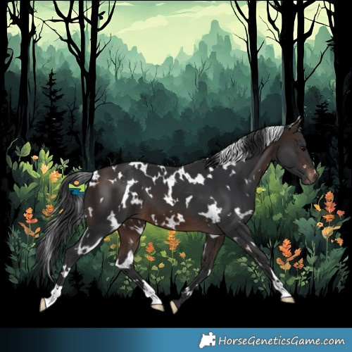 Horse Color:White Spotted Bay