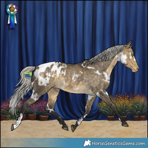 Horse Color:White Spotted Silver Buckskin Dun Appaloosa Rabicano