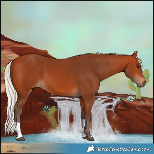 Horse Color:Silver Bay 