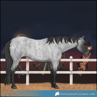 Horse Color:Blue Roan Varnish 