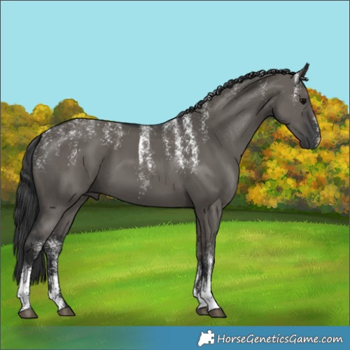Horse Color:Powder White Grullo 