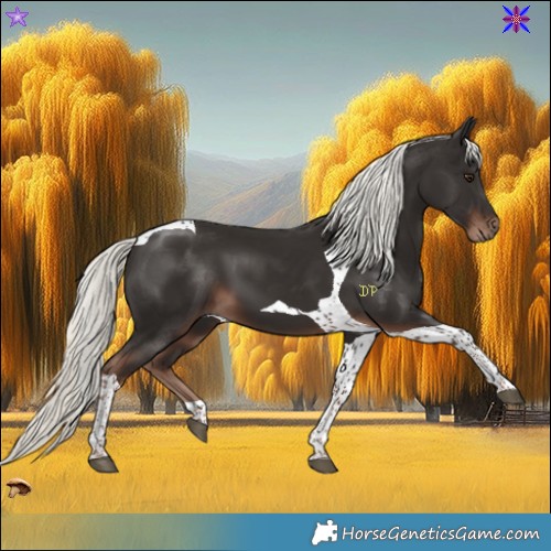 Horse Color:Liver Chestnut Mushroom Tobiano 