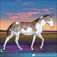 Horse Color:Liver Red Dun Splash Tobiano Rabicano Brindle 