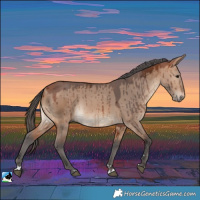 Horse Color:Bay Dun Merle Brindle