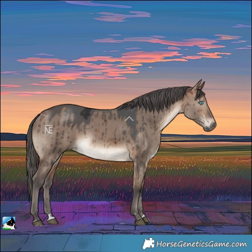 Horse Color:Brown Dun Merle Brindle 