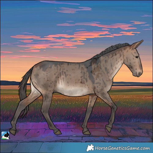 Horse Color:Bay Dun Merle Brindle