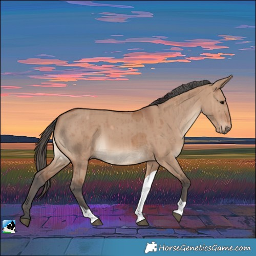 Horse Color:Bay Dun Merle Tobiano Rabicano Brindle 