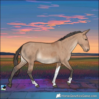 Horse Color:Bay Dun Merle Tobiano Rabicano Brindle 