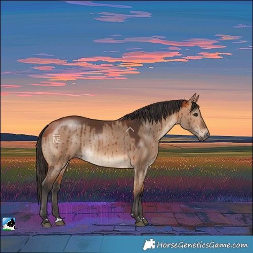 Horse Color:Bay Dun Rabicano Brindle 