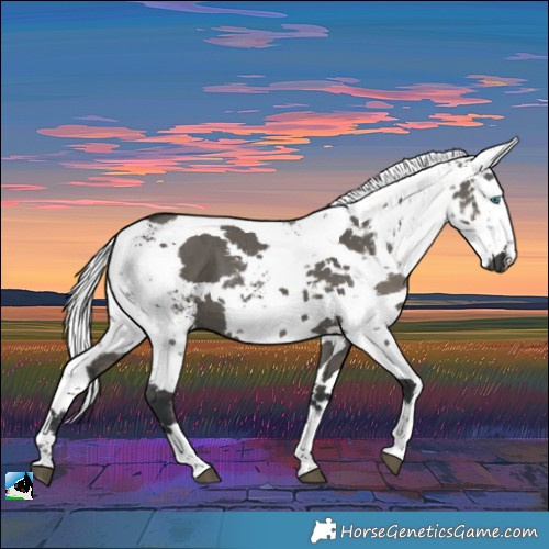 Horse Color:Grullo Harlequin Merle Brindle 