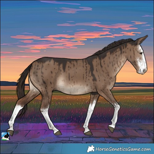 Horse Color:White Spotted Liver Red Dun Brindle 