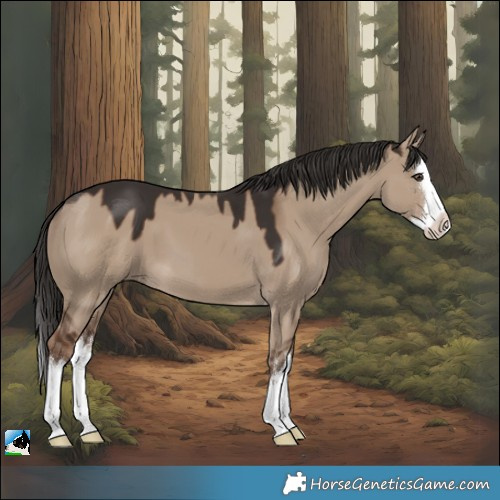 Horse Color:White Spotted Liver Red Dun Splash