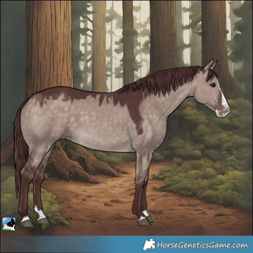 Horse Color:White Spotted Chocolate Brown Dun Splash