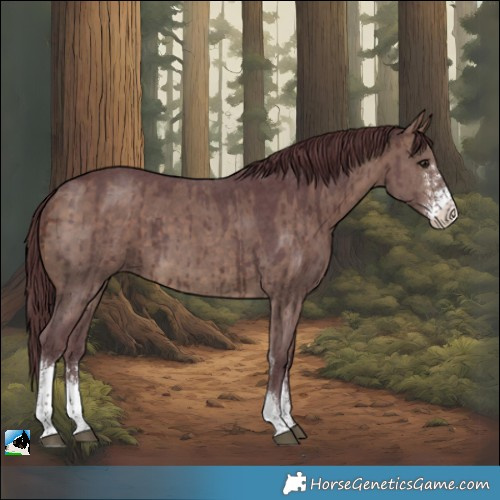Horse Color:Chocolate Brown Dun Sabino Brindle