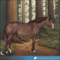 Horse Color:White Spotted Chocolate Brown Dun Splash Brindle