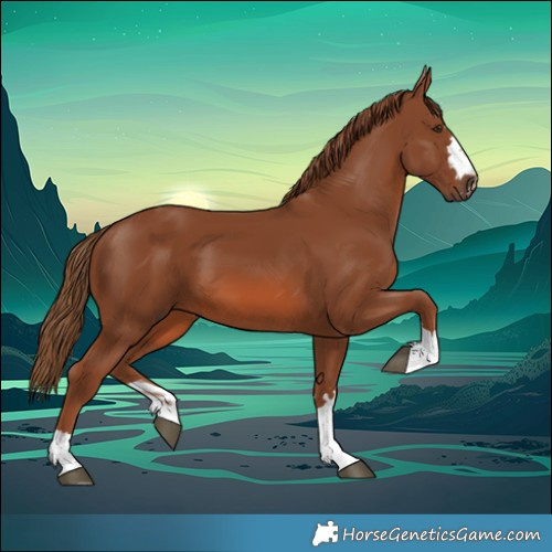 Horse Color:Chestnut 