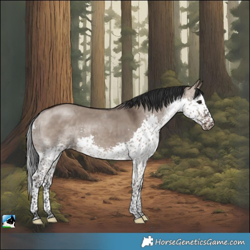 Horse Color:Brown Dun Sabino Splash Tobiano